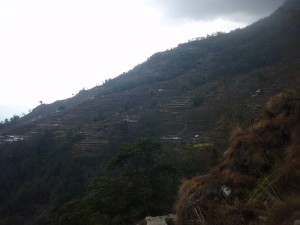 Day 2 - Trek to Ghandruk_73