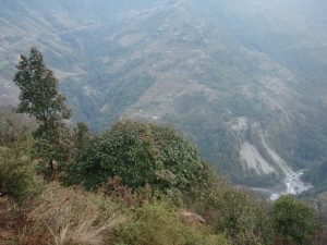 Day 2 - Trek to Ghandruk_87