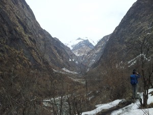 Day 7 - Trek to MBC_10